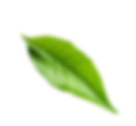 Decorative Leaf