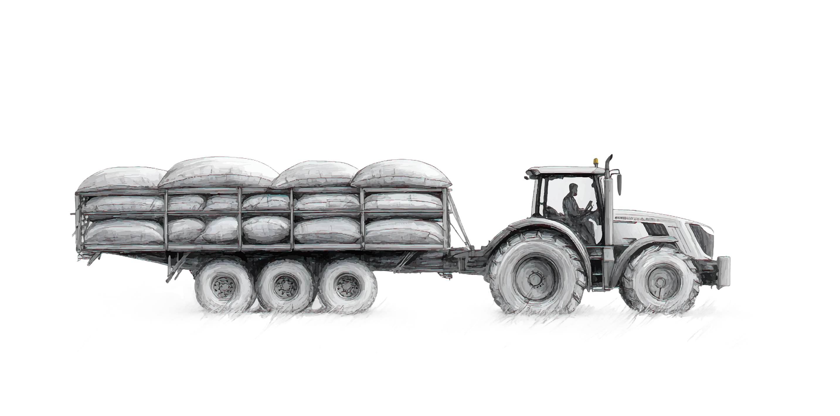 Flora Left Border Decoration