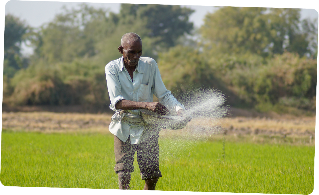 Flora Fertichem - Card 1